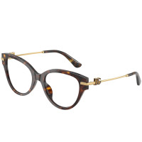 Dolce e Gabbana DG 3438 502 53