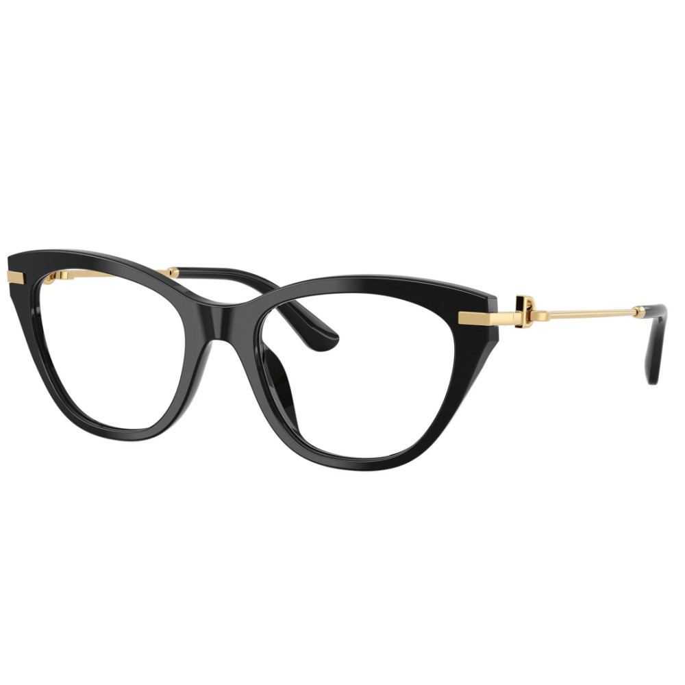 Dolce e Gabbana DG 3428 501 53