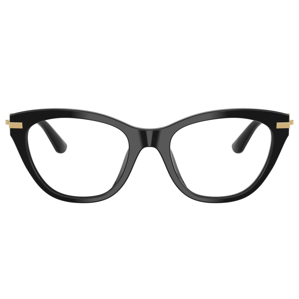 Dolce e Gabbana DG 3428 501 53