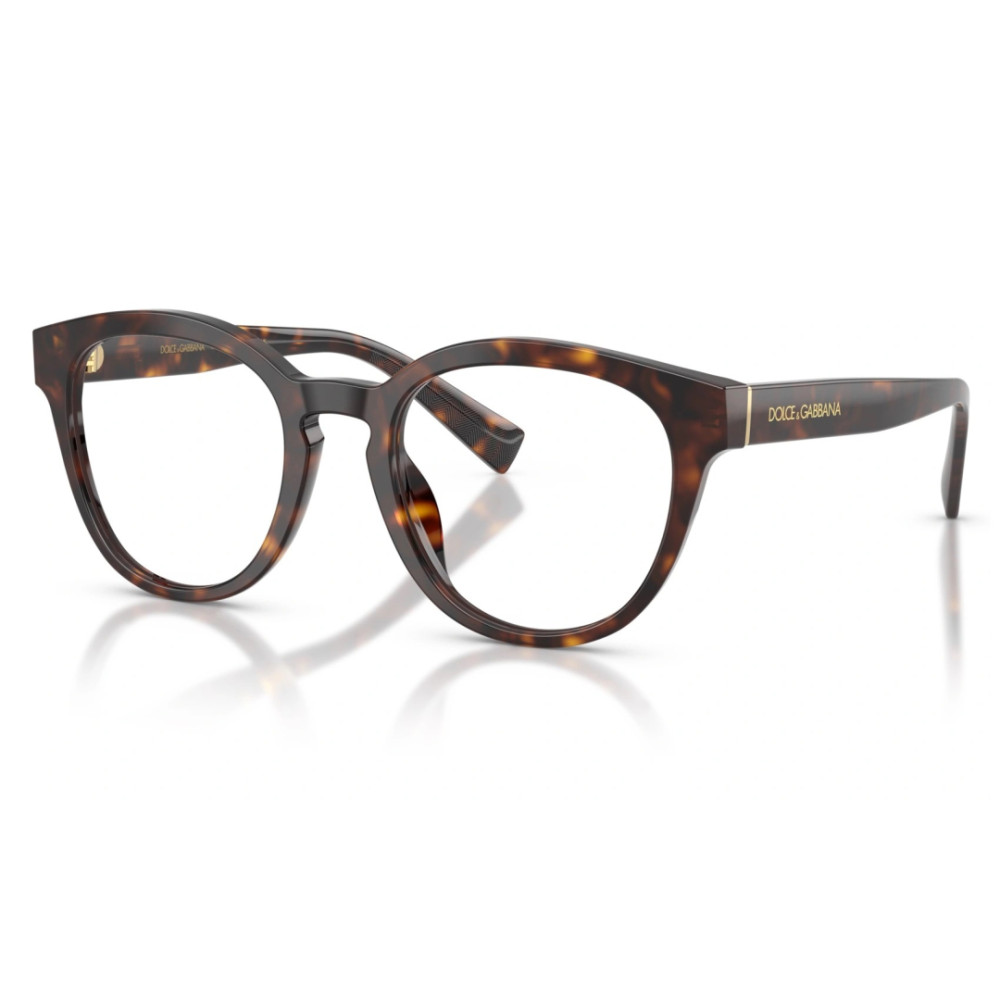 Dolce e Gabbana DG 3421 502 52