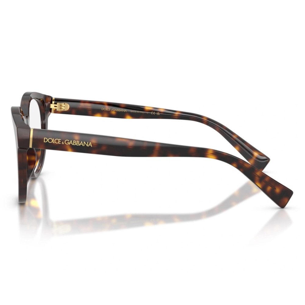 Dolce e Gabbana DG 3421 502 52