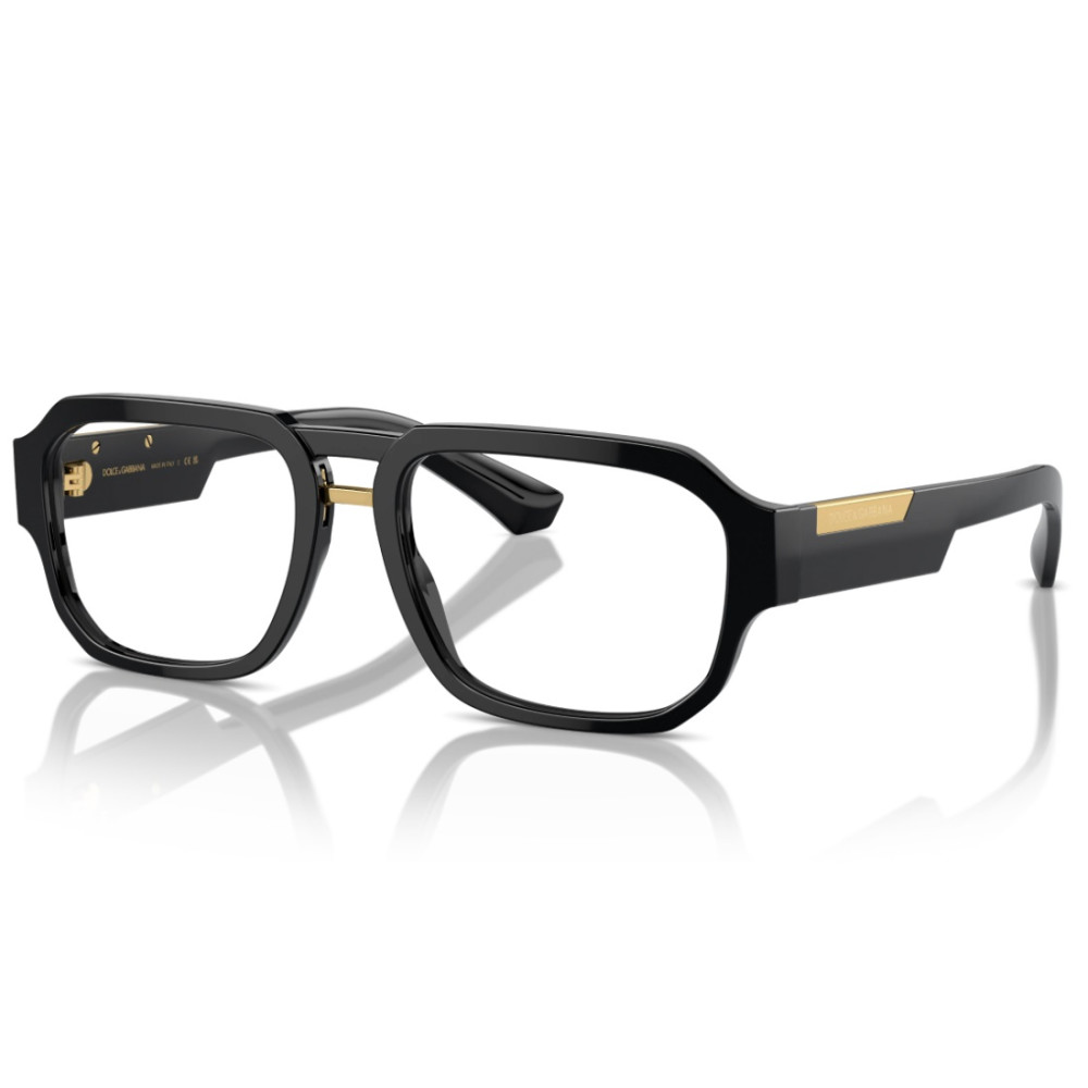 Dolce e Gabbana DG 3389 501 55