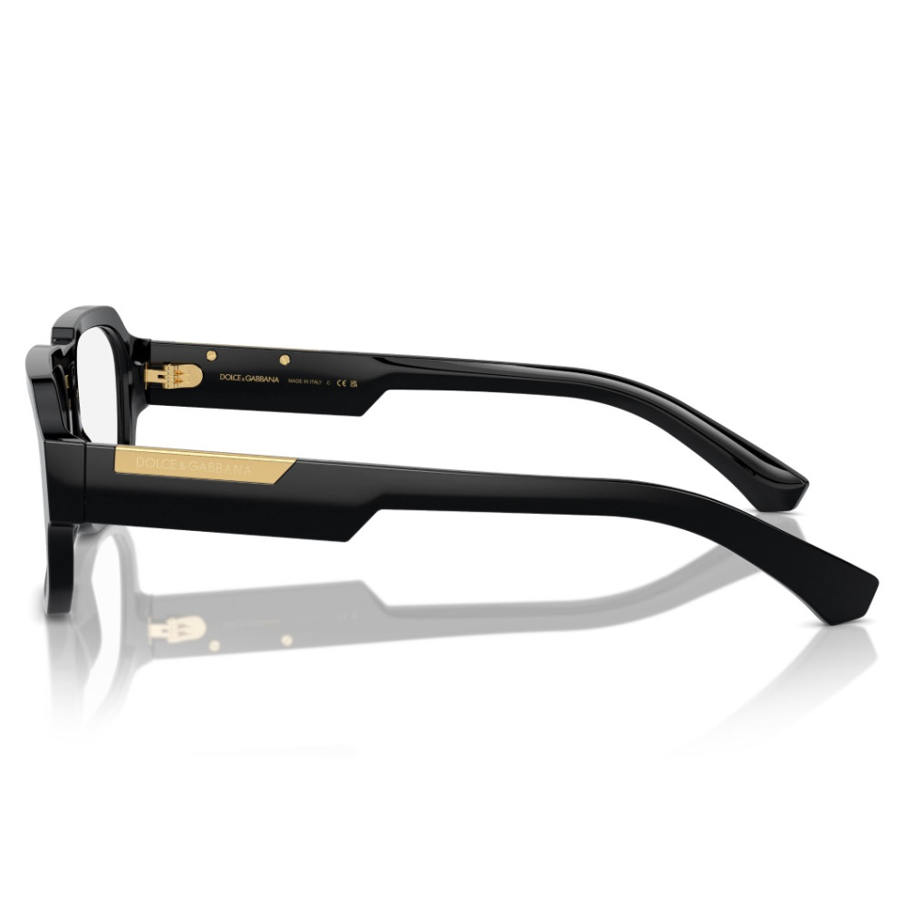 Dolce e Gabbana DG 3389 501 55