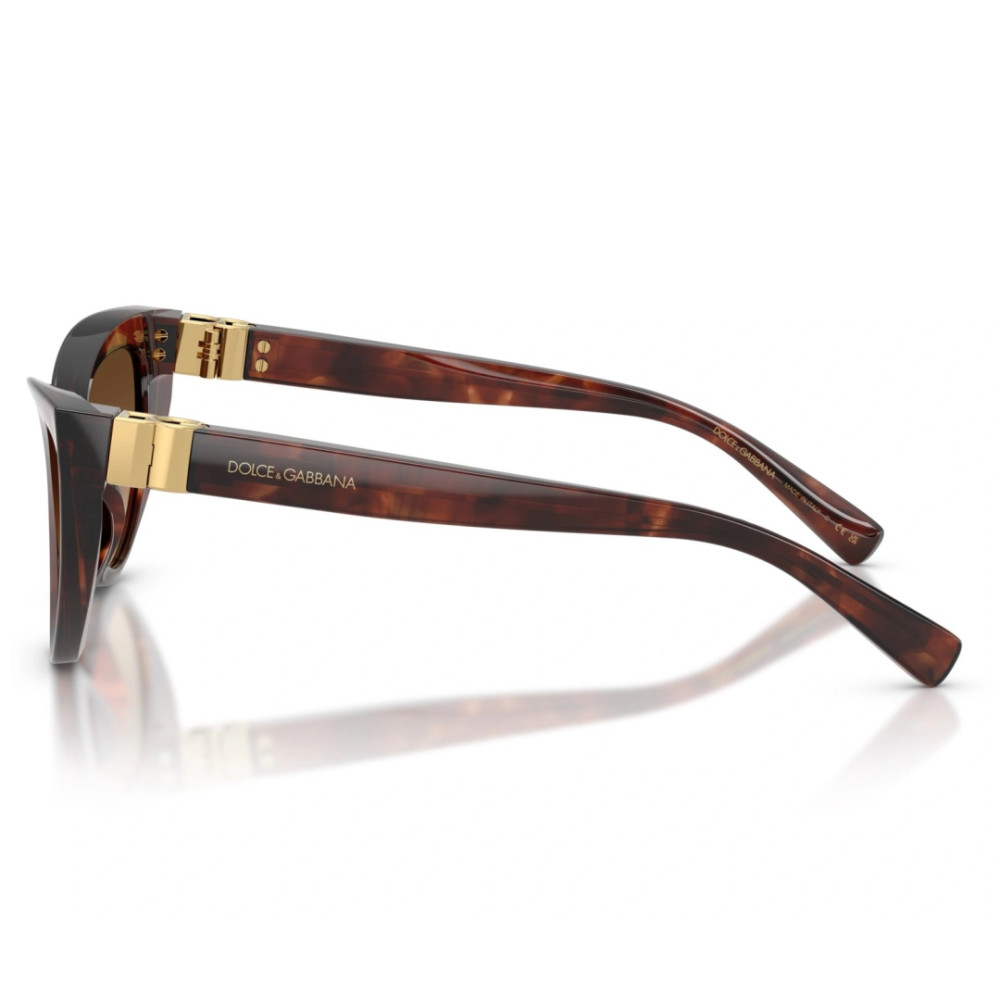 Dolce e Gabbana DG 4497 3222/74 52