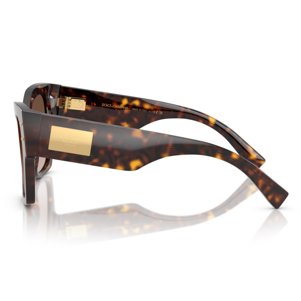 Dolce e Gabbana DG 4478 502/13 53