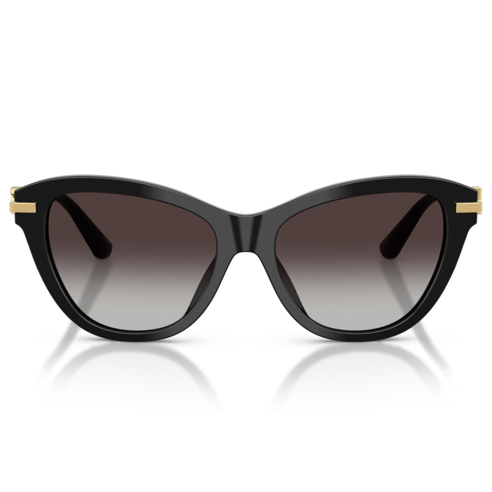 Dolce e Gabbana DG 4534 501/8G 53