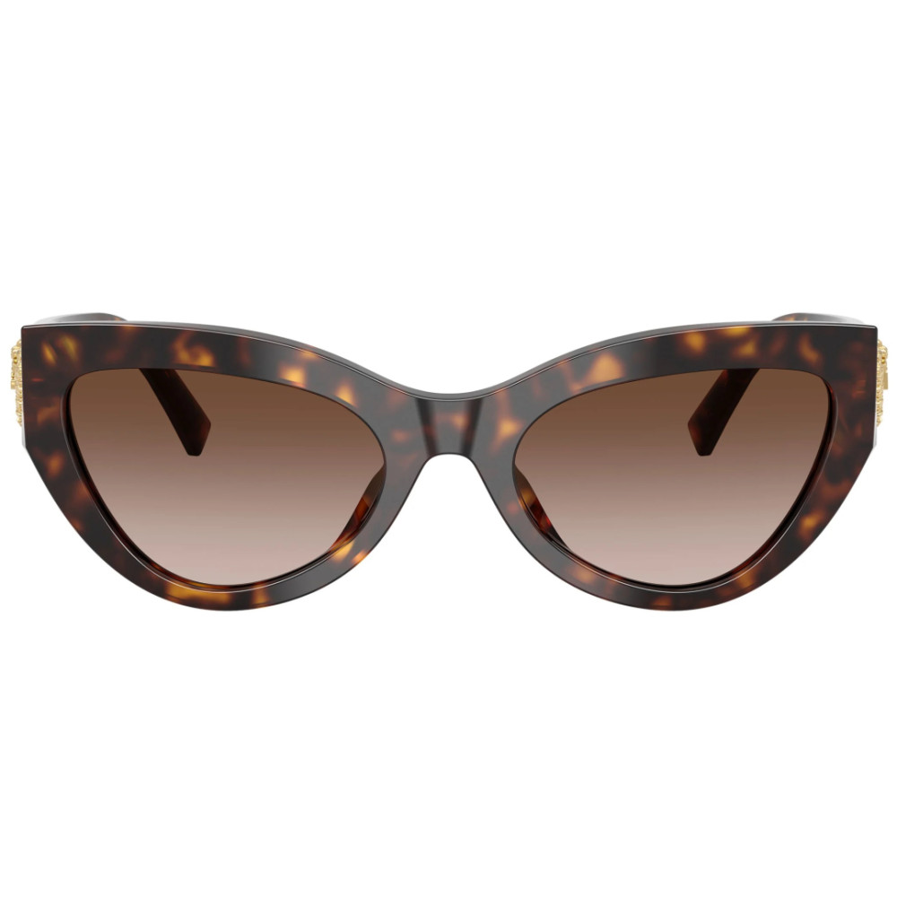 Dolce e Gabbana DG 4536 502/13 55 - Devotion