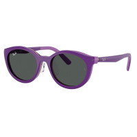 Armação e Clip On Ray Ban Junior RB 1625D 3909 - 3909/87 47 - Coleção Asiática - Zootopia Armação e Clip On Ray Ban Junior RB 1625D 3909 - 3909/87 47 - Coleção Asiática - Zootopia