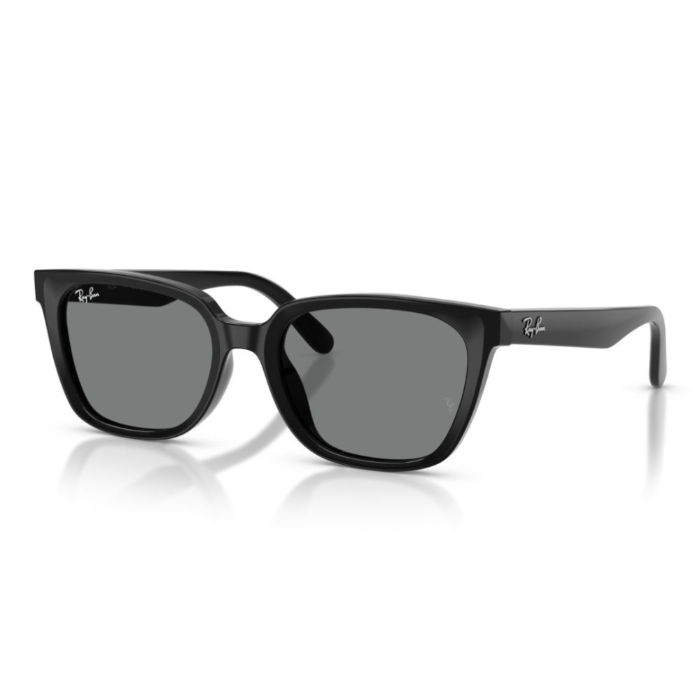Ray Ban RB 2243D 901/87 55