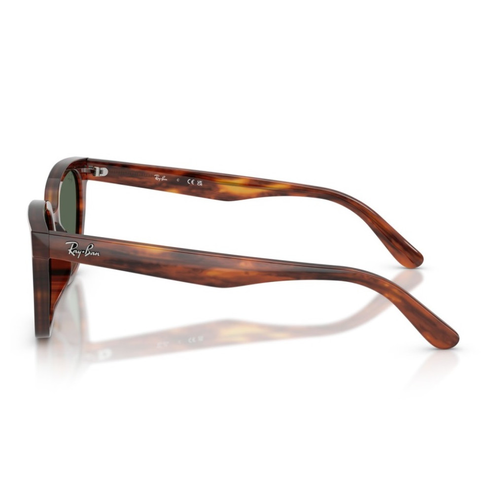 Ray Ban RB 2243D 954/71 55