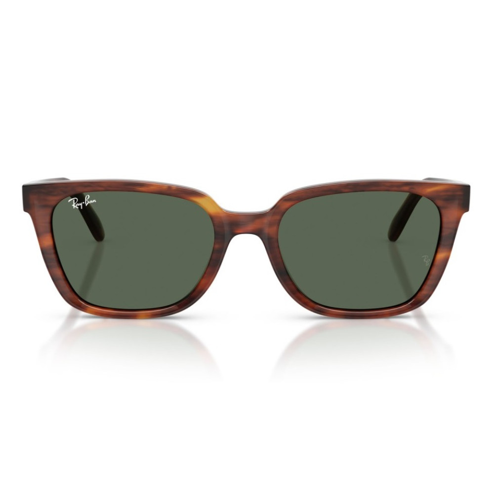 Ray Ban RB 2243D 954/71 55