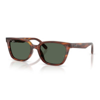 Ray Ban RB 2243D 954/71 55