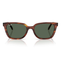 Ray Ban RB 2243D 954/71 55 Ray Ban RB 2243D 954/71 55