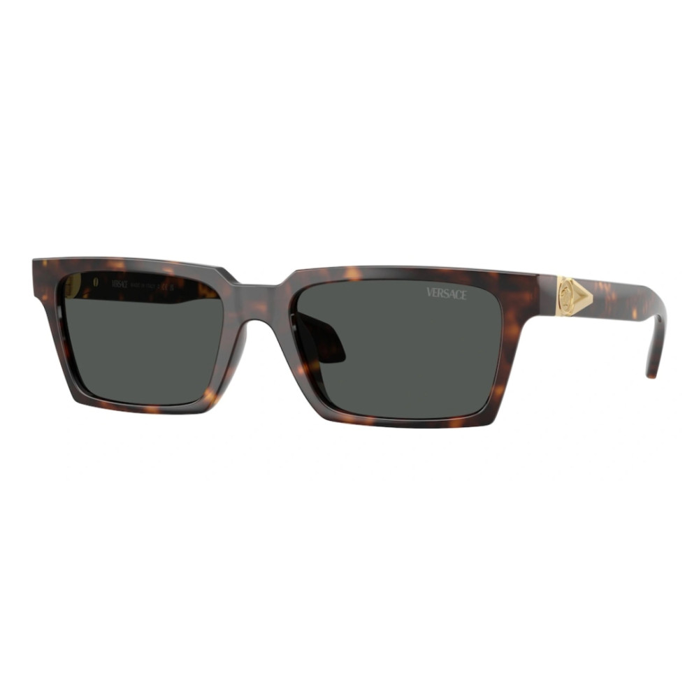 Versace VE 4490-U 108/87 55